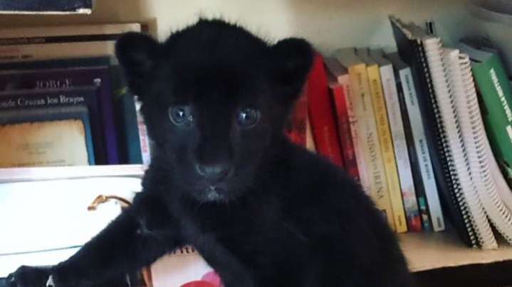 Путеводитель по блогу