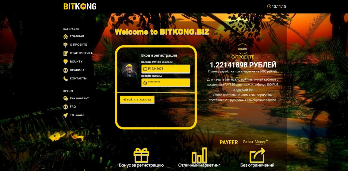 BitKong