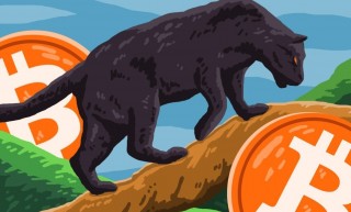 Криптовалютные биржи