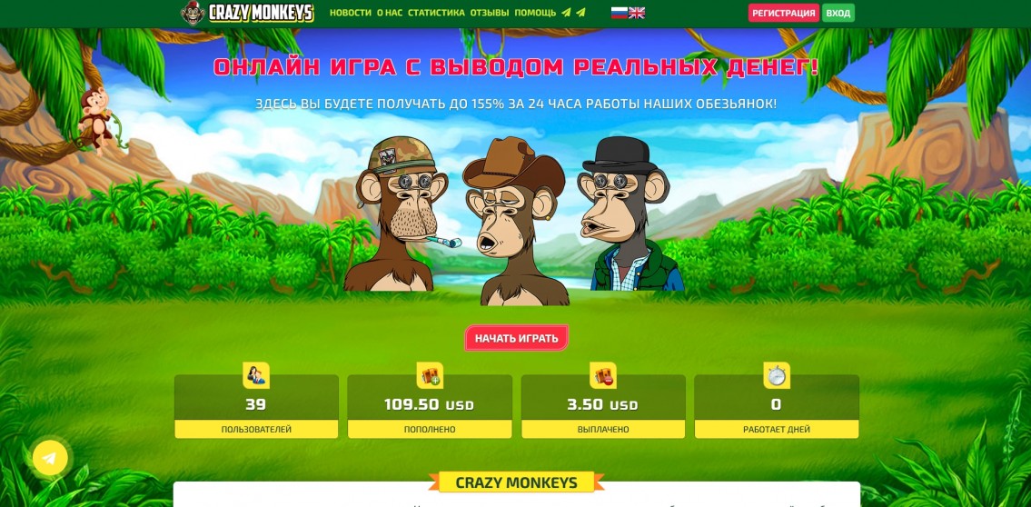 Crazy-Monkeys